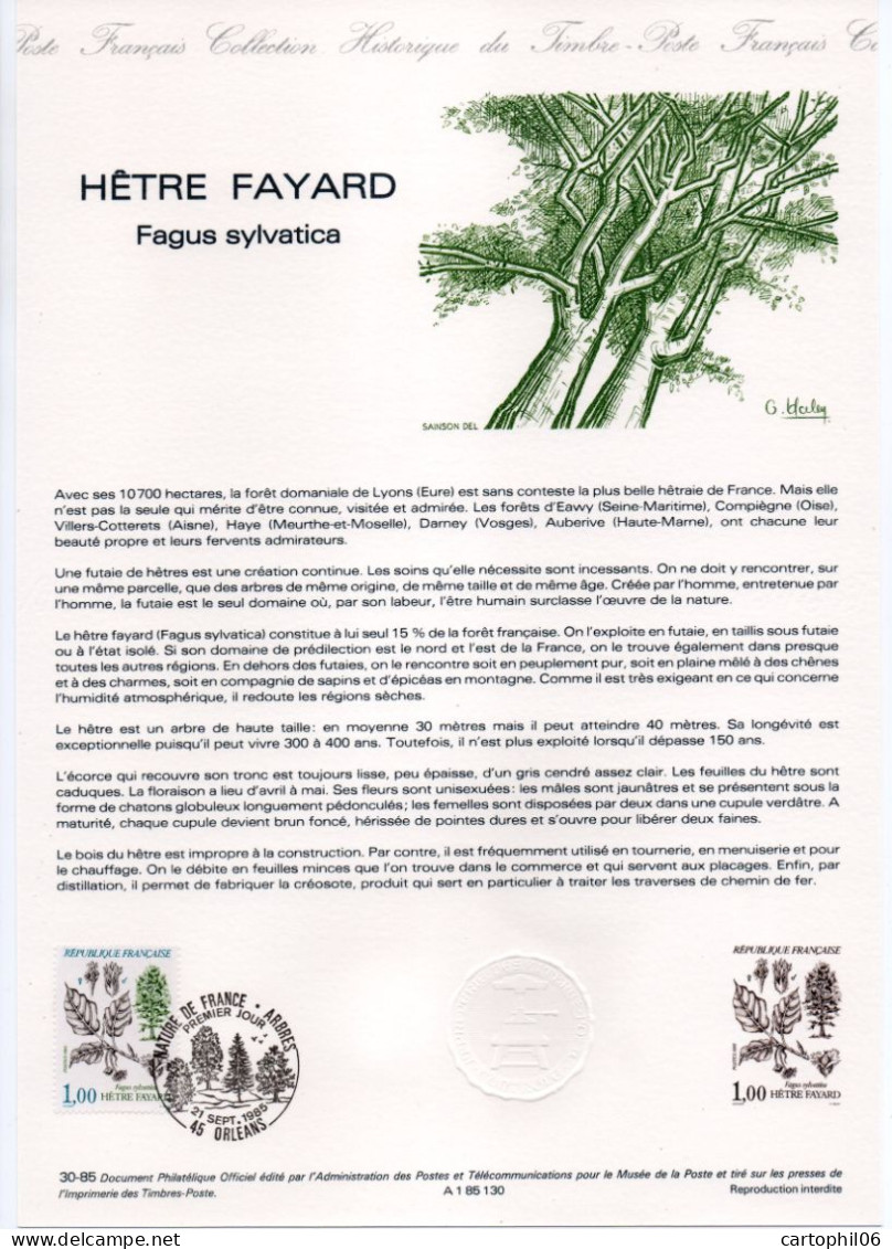 - Document Premier Jour LE HÊTRE FAYARD (Fagus Sylvatica) - ORLEANS 21.9.1985 - - Trees