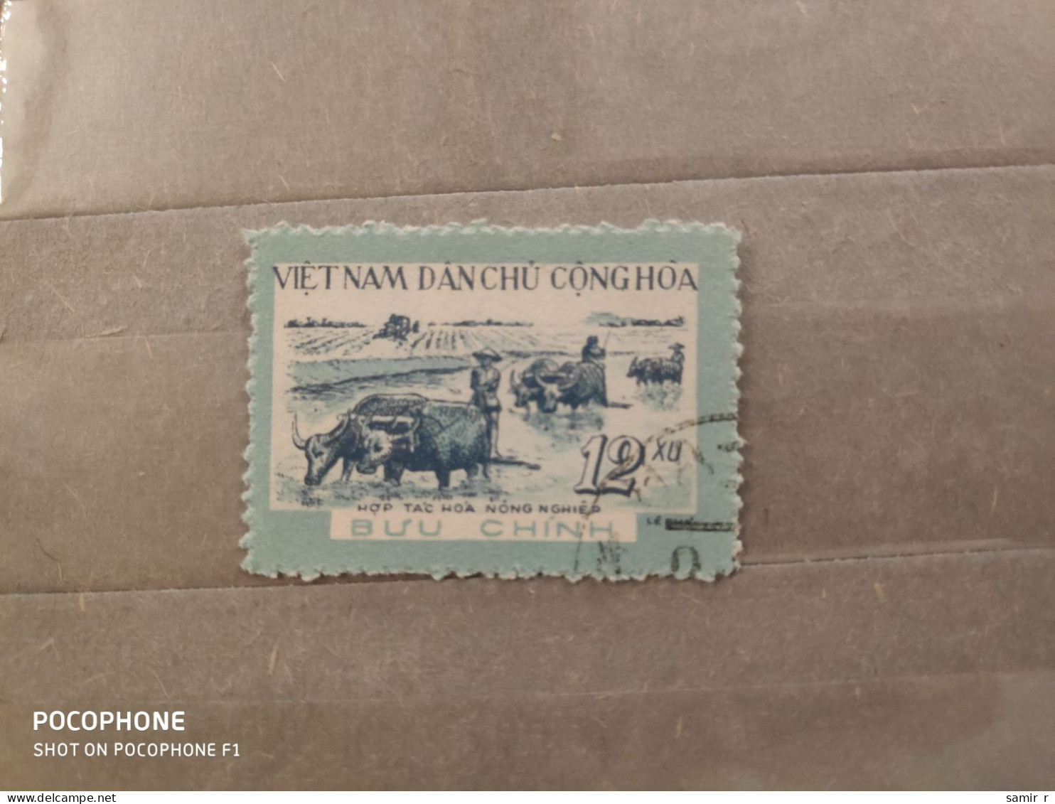 Vietnam	Anumals Bulls (F92) - Viêt-Nam