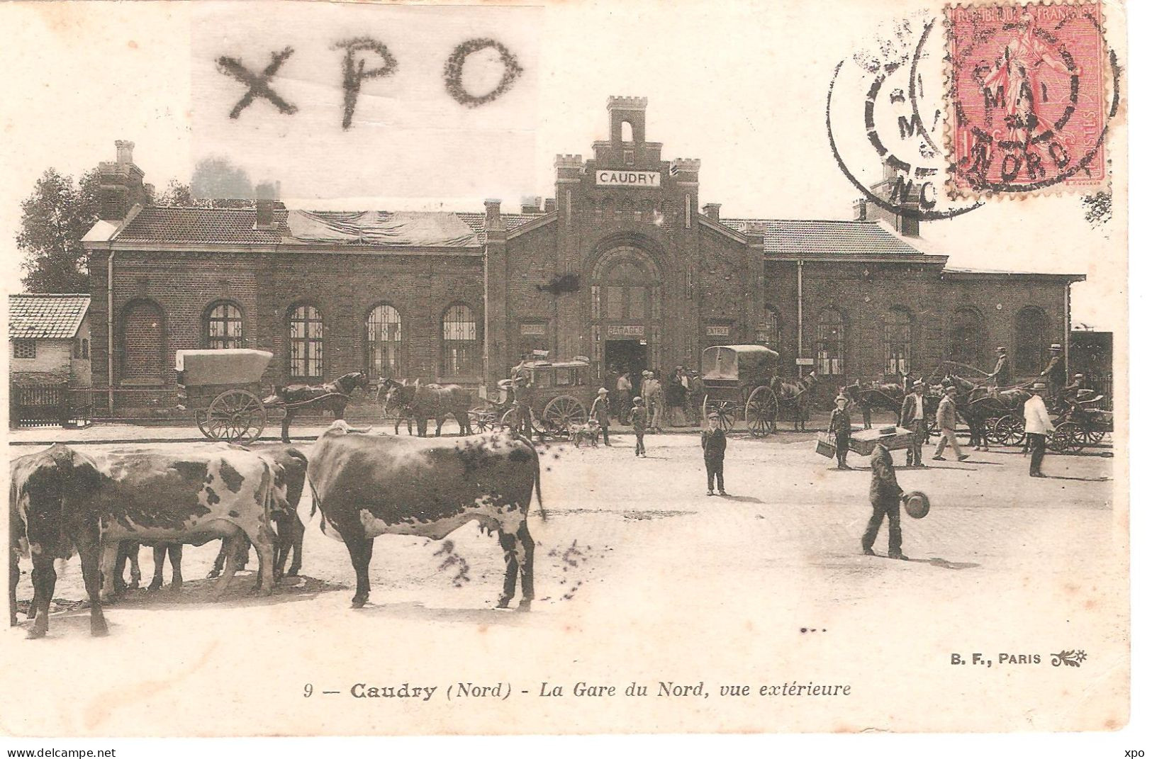 Caudry. La Gare Du Nord, Vue Extérieure. Attelage, Vaches Au Premier Plan - Caudry