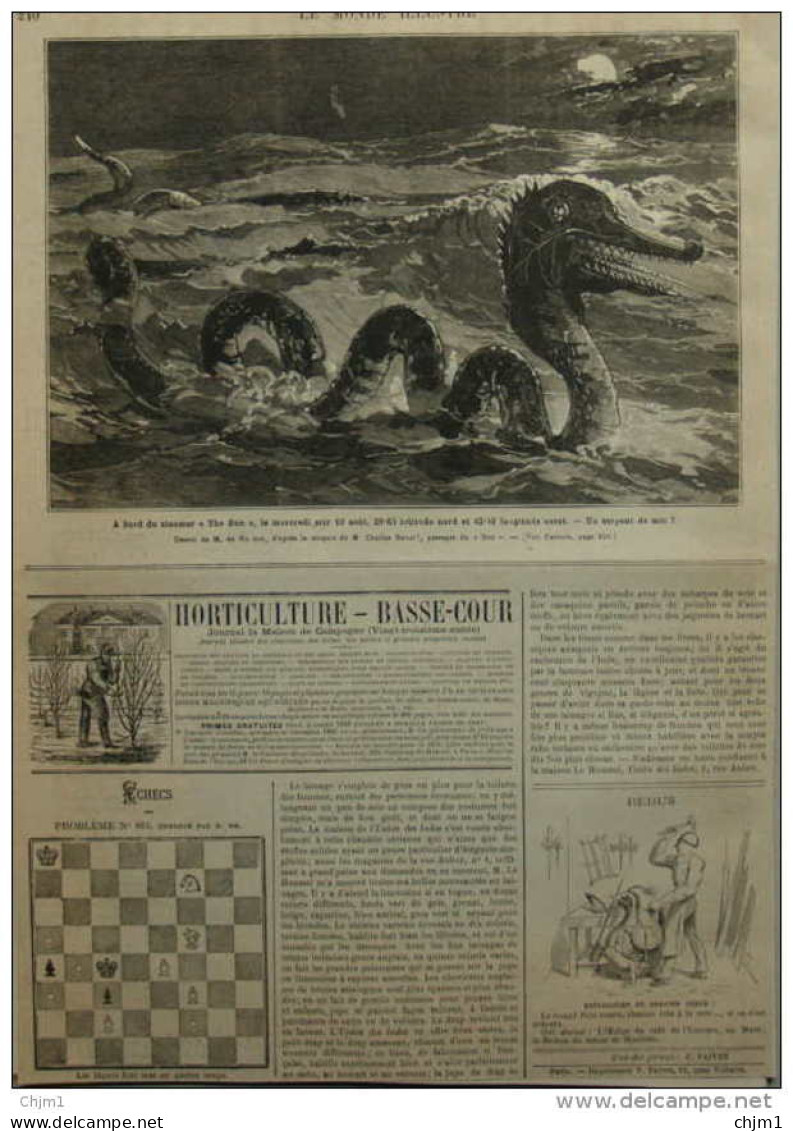 à Bord Du Steamer "The Don" - Un Serpent De Mer ?  - Rebus - Page Original  1881 - Documents Historiques