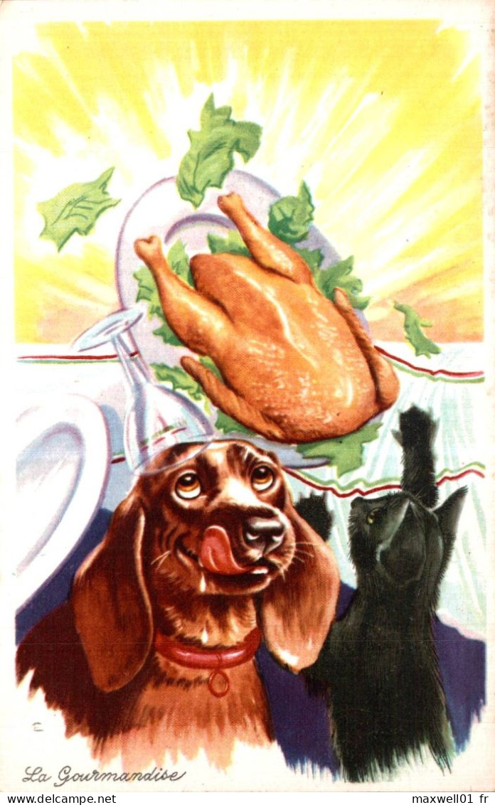 O5 - Carte Postale Fantaisie - Chien Et Chat - La Gourmandise - Perros