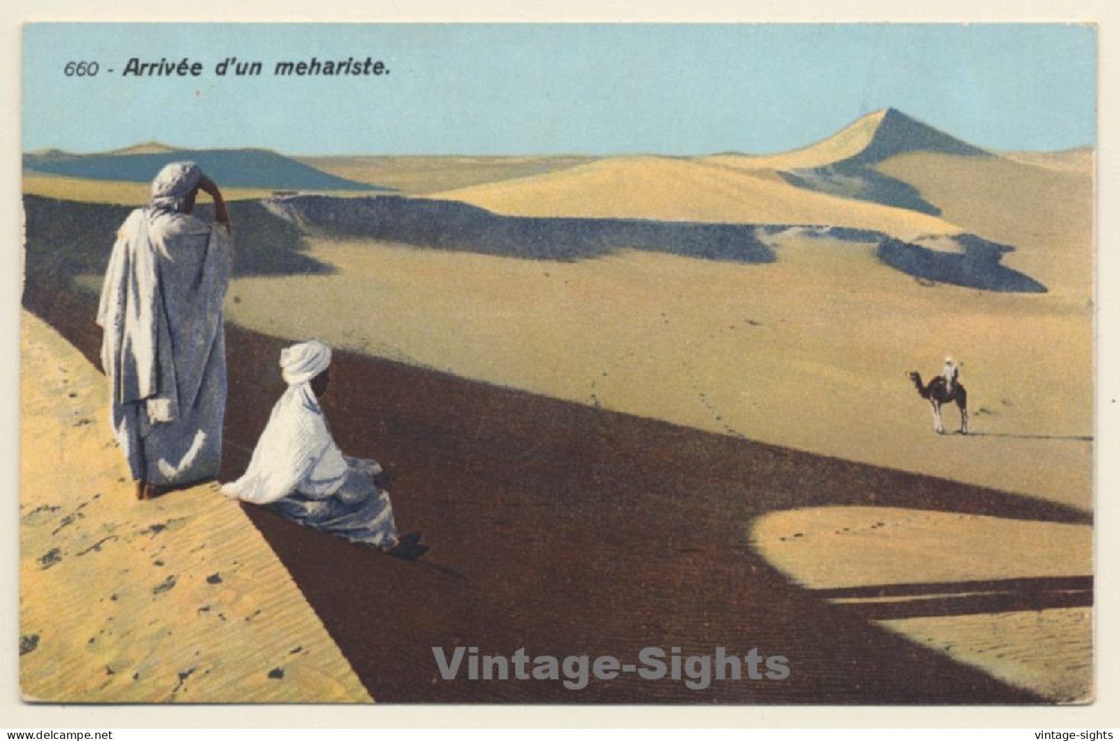 Lehnert & Landrock N°660: Arrivée D'un Mehariste / Camel (Vintage PC 1910s/1920s) - Andere & Zonder Classificatie