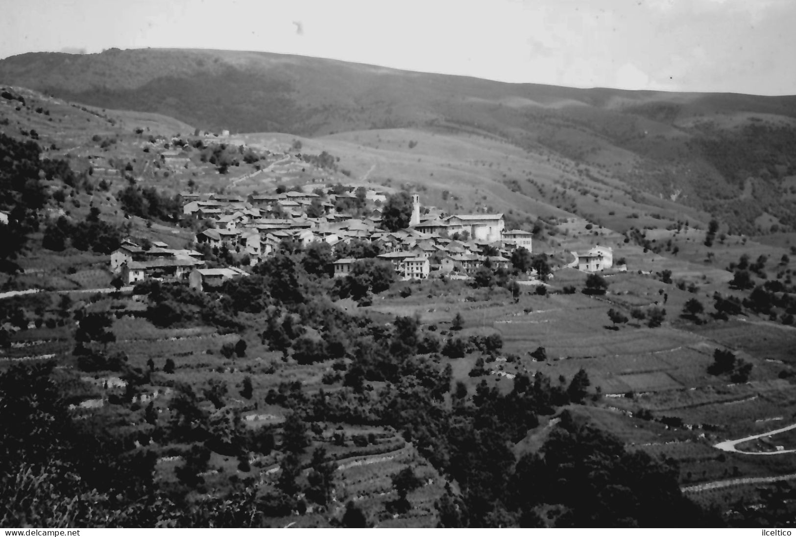 CANEBOLA - PANORAMA - 1959 - Udine