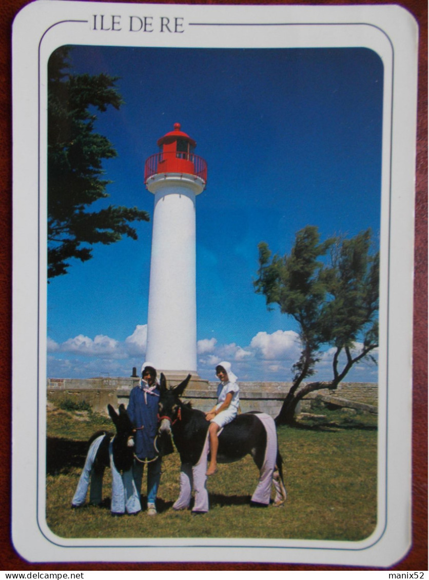 17 - ILE De RÉ - SAINT-MARTIN De RÉ - Anes En Culottes Devant Le Phare De La Barbette. - Saint-Martin-de-Ré