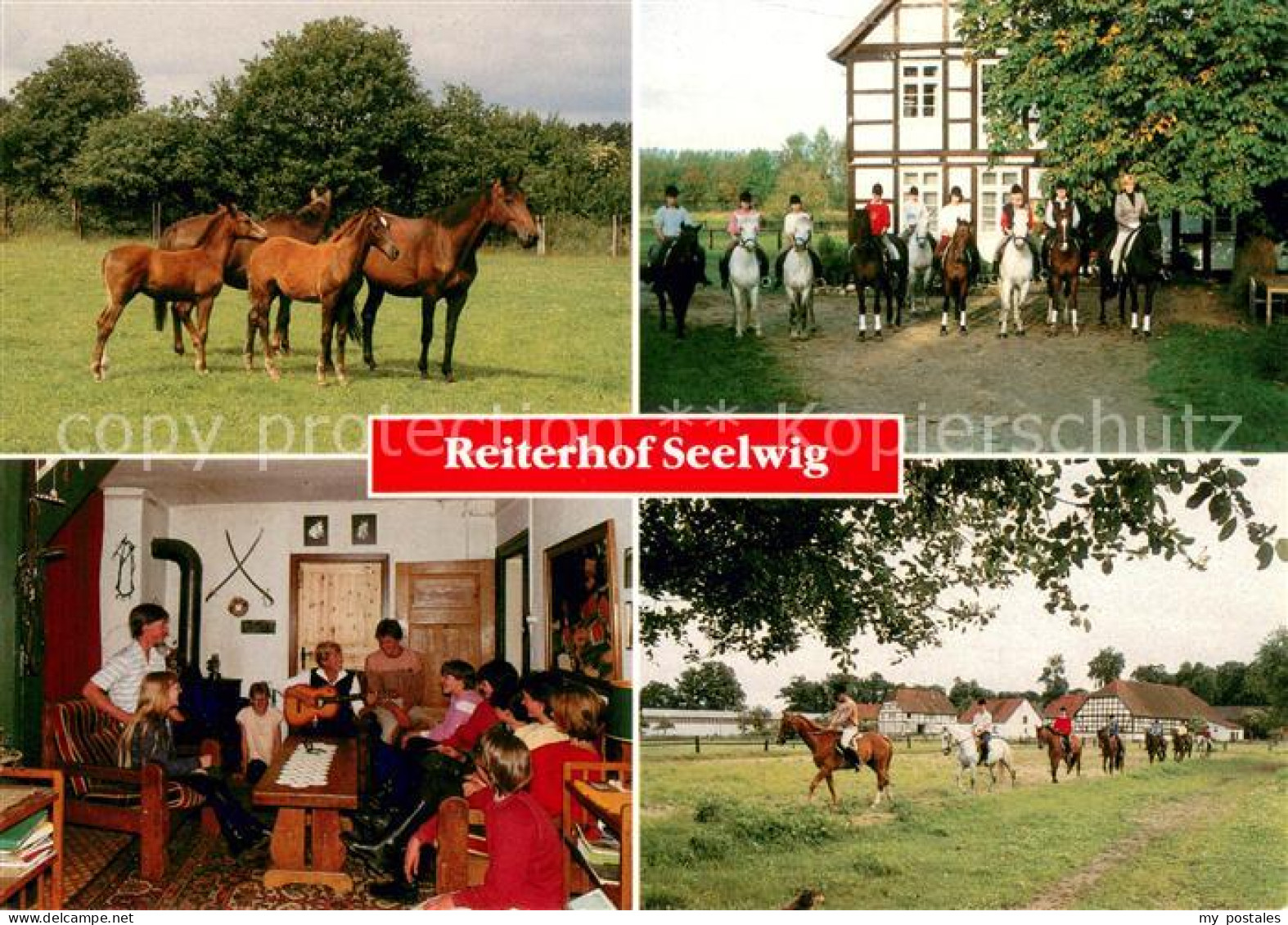 73673690 Seelwig Reiterhof Seelwig Pferdekoppel Reitergruppen Gastraum Seelwig - Other & Unclassified