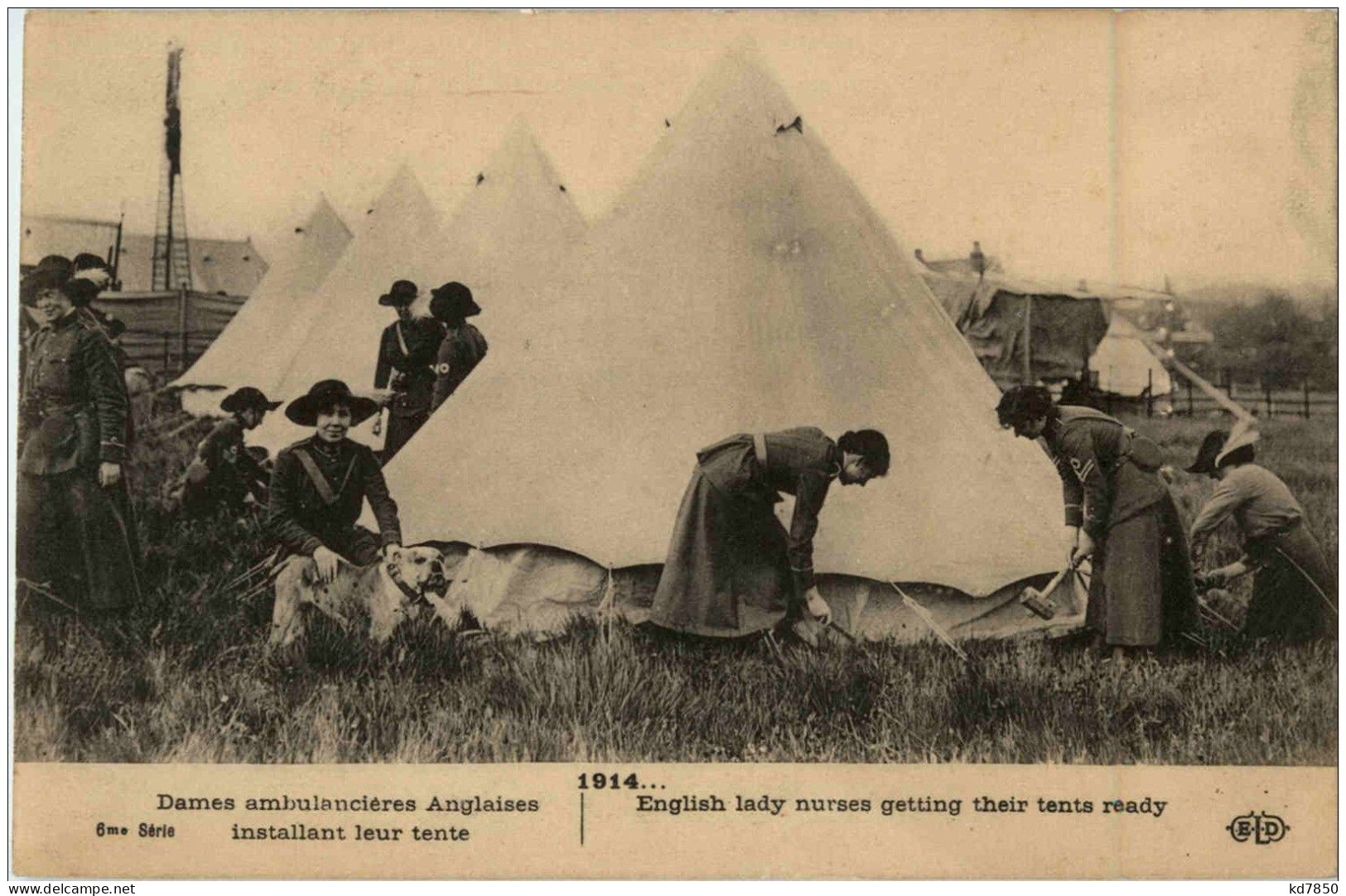 Dames Ambulancieres Anglaises Installant Leur Tente - War 1914-18