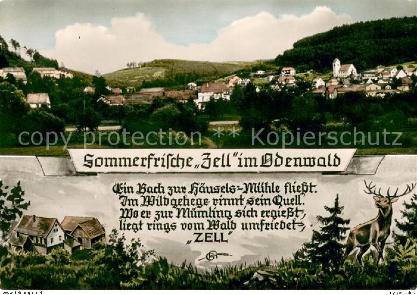 73673636 Zell Odenwald Panorama Wildgehege Zell Odenwald - Bad König