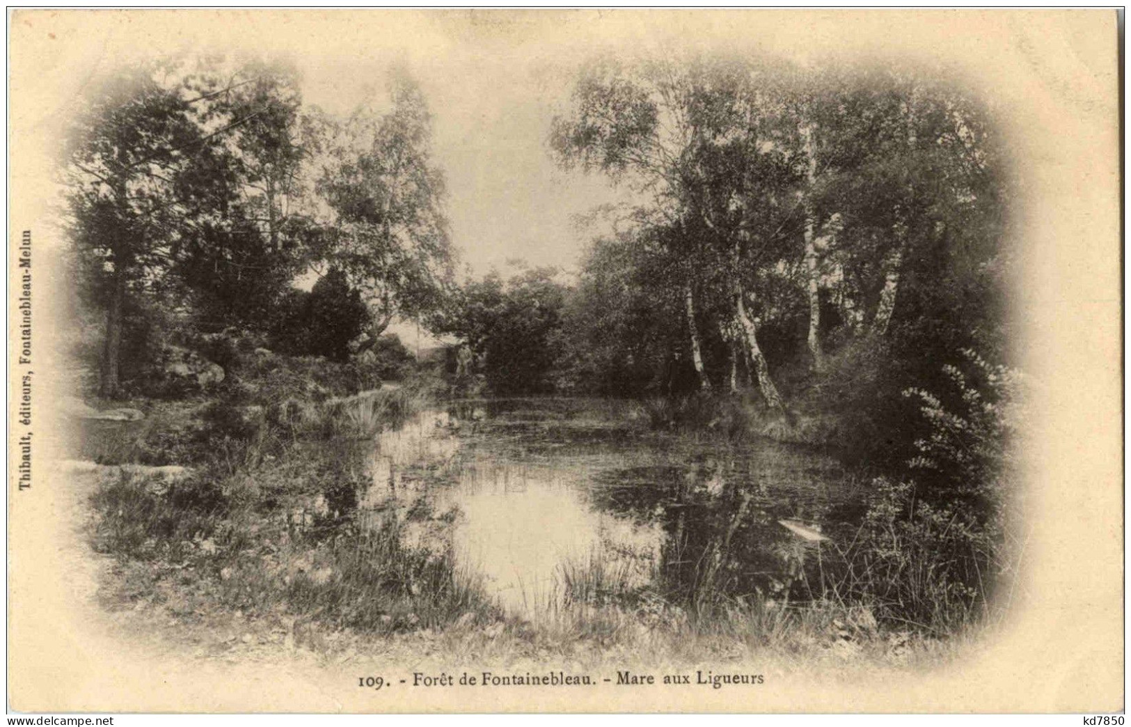 Foret De Fontainebleau - Mare Aux Ligueurs - Fontainebleau