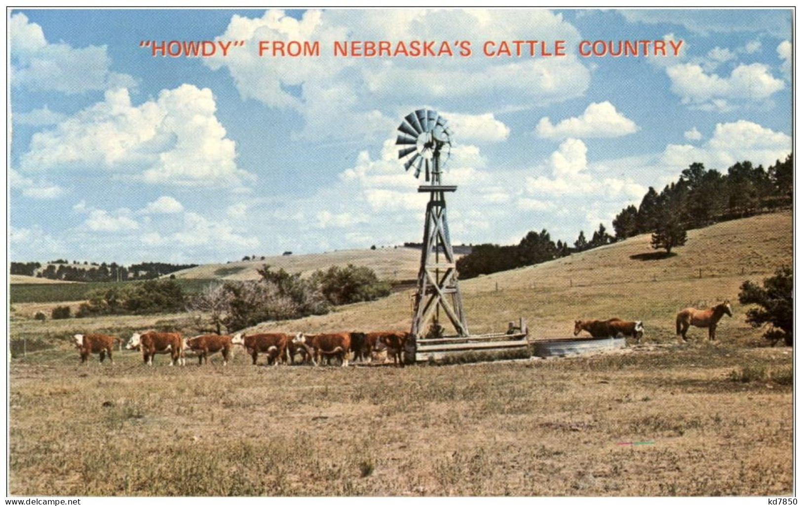 Howdy From Nebraska - Andere & Zonder Classificatie