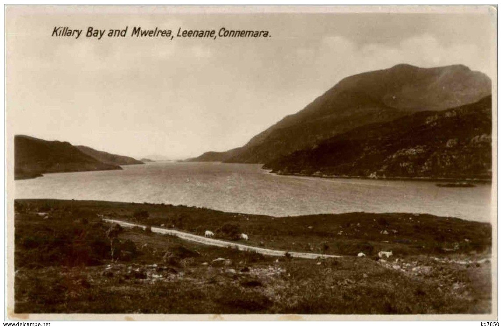 Killary Bay And Mwelrea - Leenanae Connemara - Altri & Non Classificati