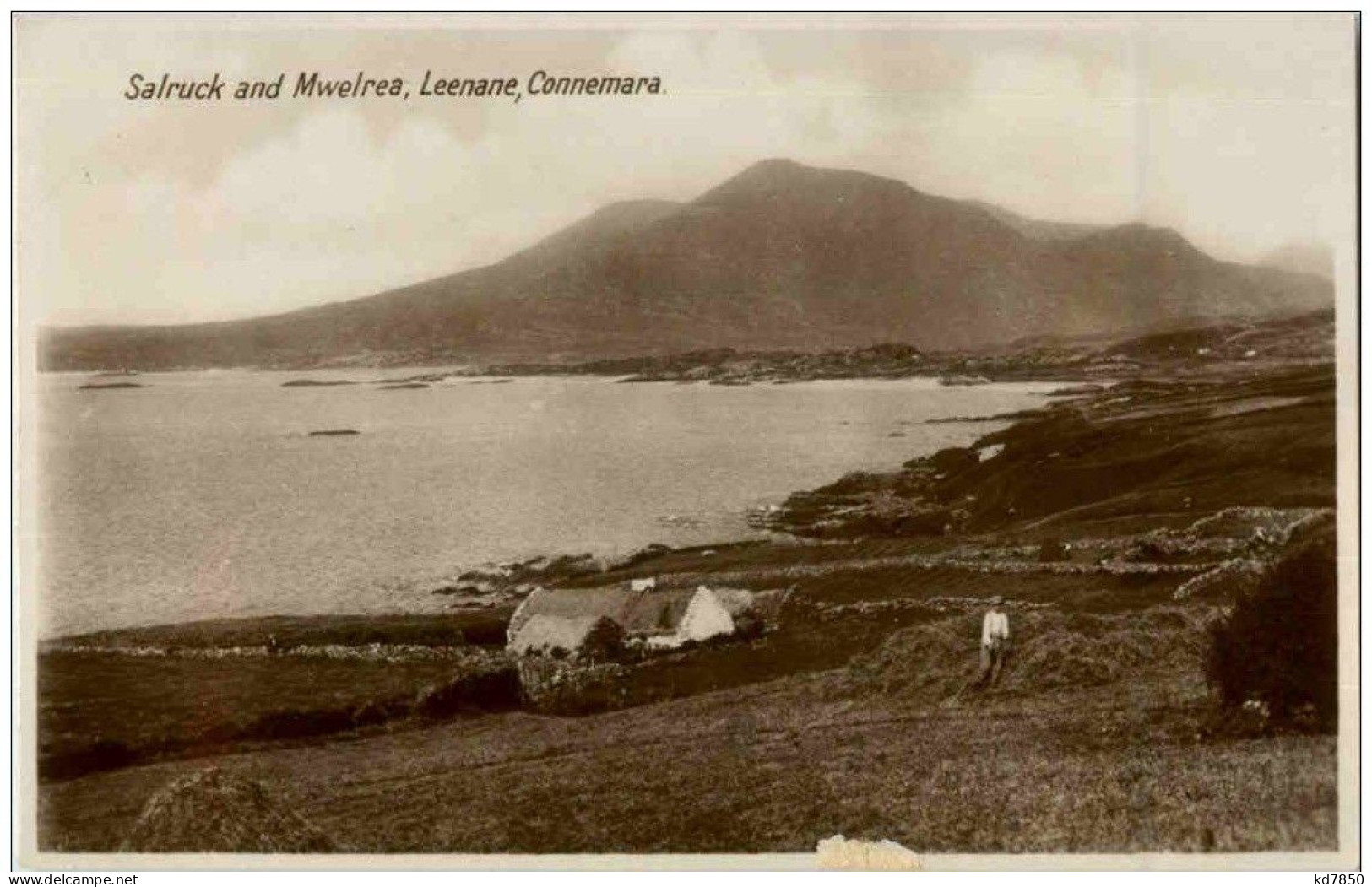 Salruck And Mwelrea - Leenanae Connemara - Autres & Non Classés