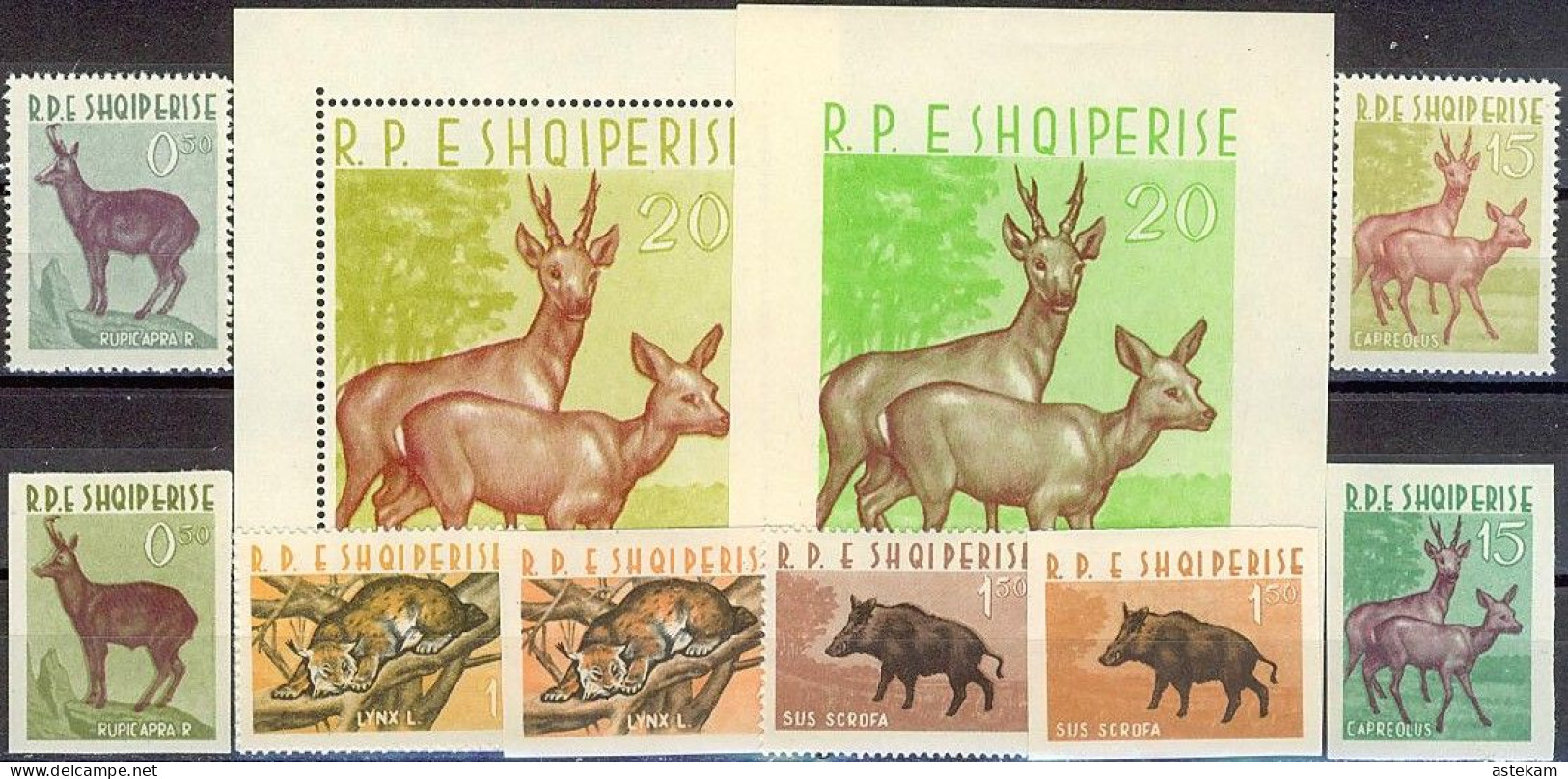 ALBANIA 1962, ANIMALS, TWO COMPLETE, MNH PERFORATE And IMPERFORATE SERIES+2 BLOCKS With GOOD QUALITY, *** - Albania