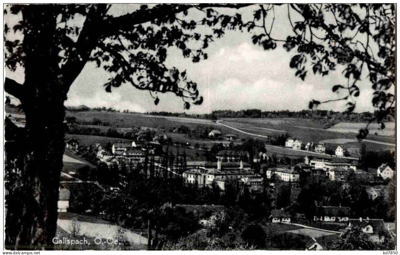 Gallspach - Stempel - Other & Unclassified