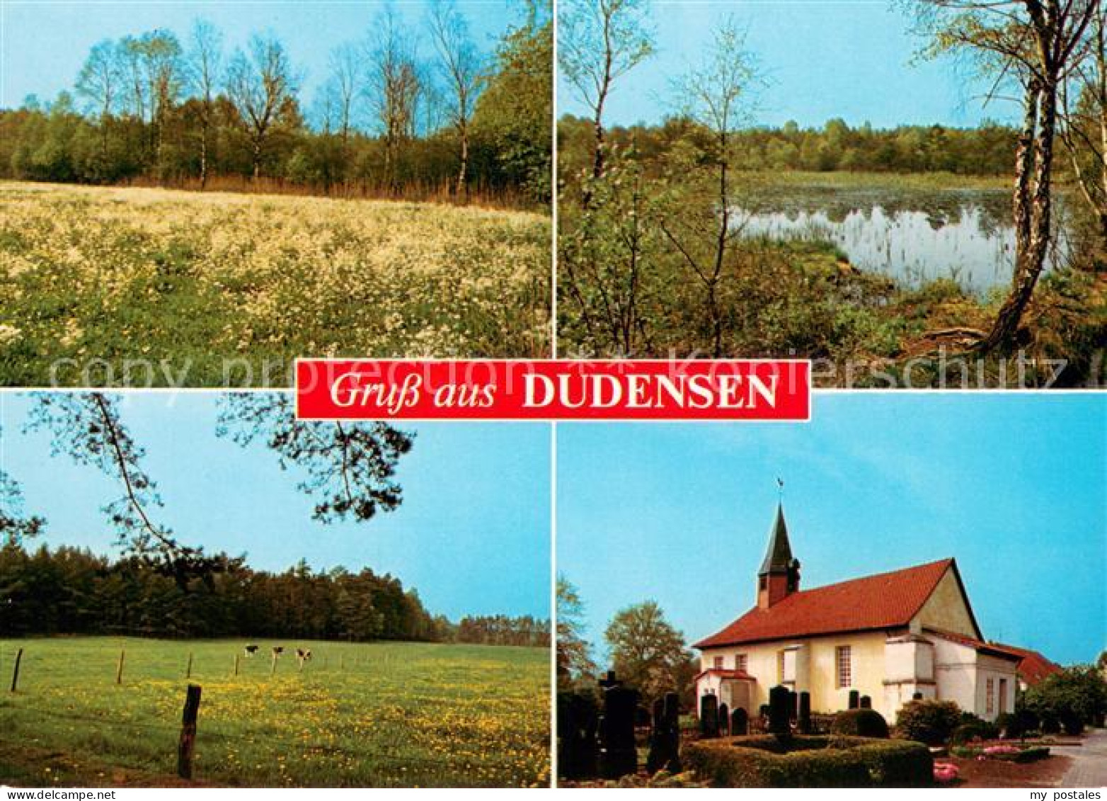 73673479 Dudensen Landschaft Teich Viehweide Kirche Dudensen - Neustadt Am Rübenberge