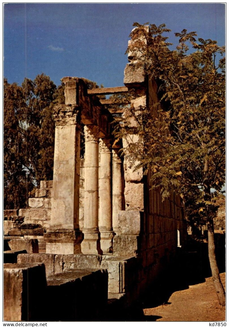 Reste Der Synagoge Von Kapernaum - Israel