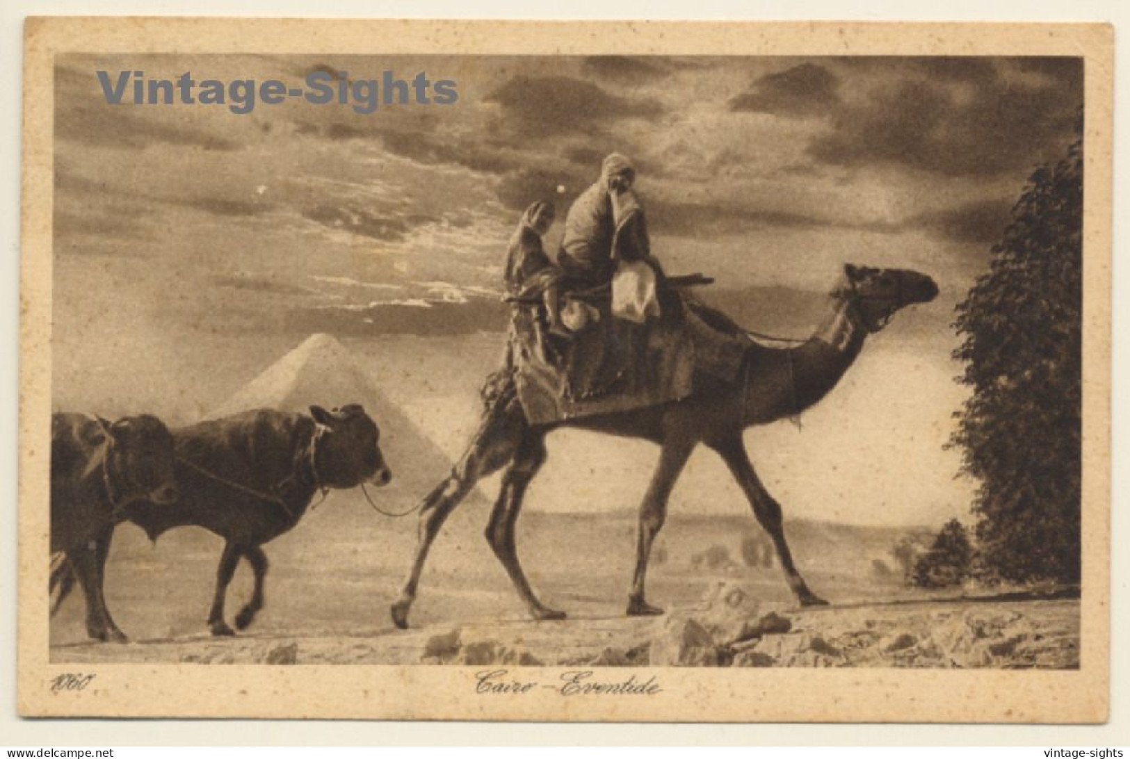 Lehnert & Landrock N°1060: Cairo - Eventide / Camel (Vintage PC 1910s/1920s) - Otros & Sin Clasificación