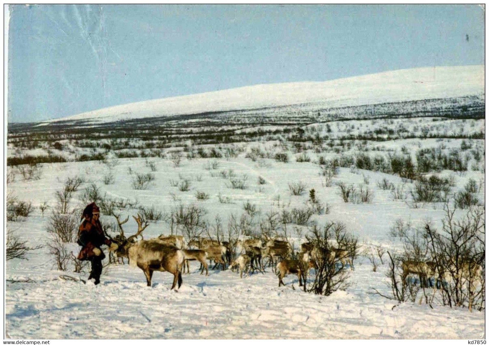 Finland - Lappalainen Ja Porot Tunturissa - Finland