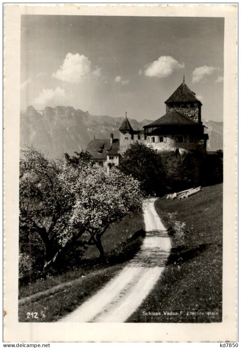 Schloss Vaduz - Liechtenstein - Liechtenstein