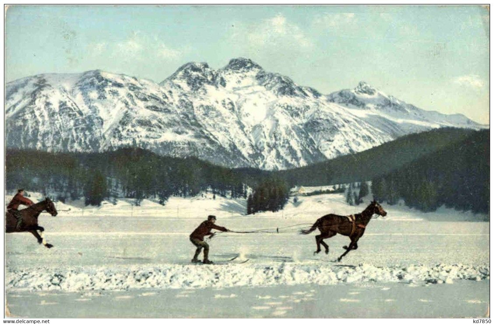 Skikjöring - Pferd Mit Skifahrer - Wintersport