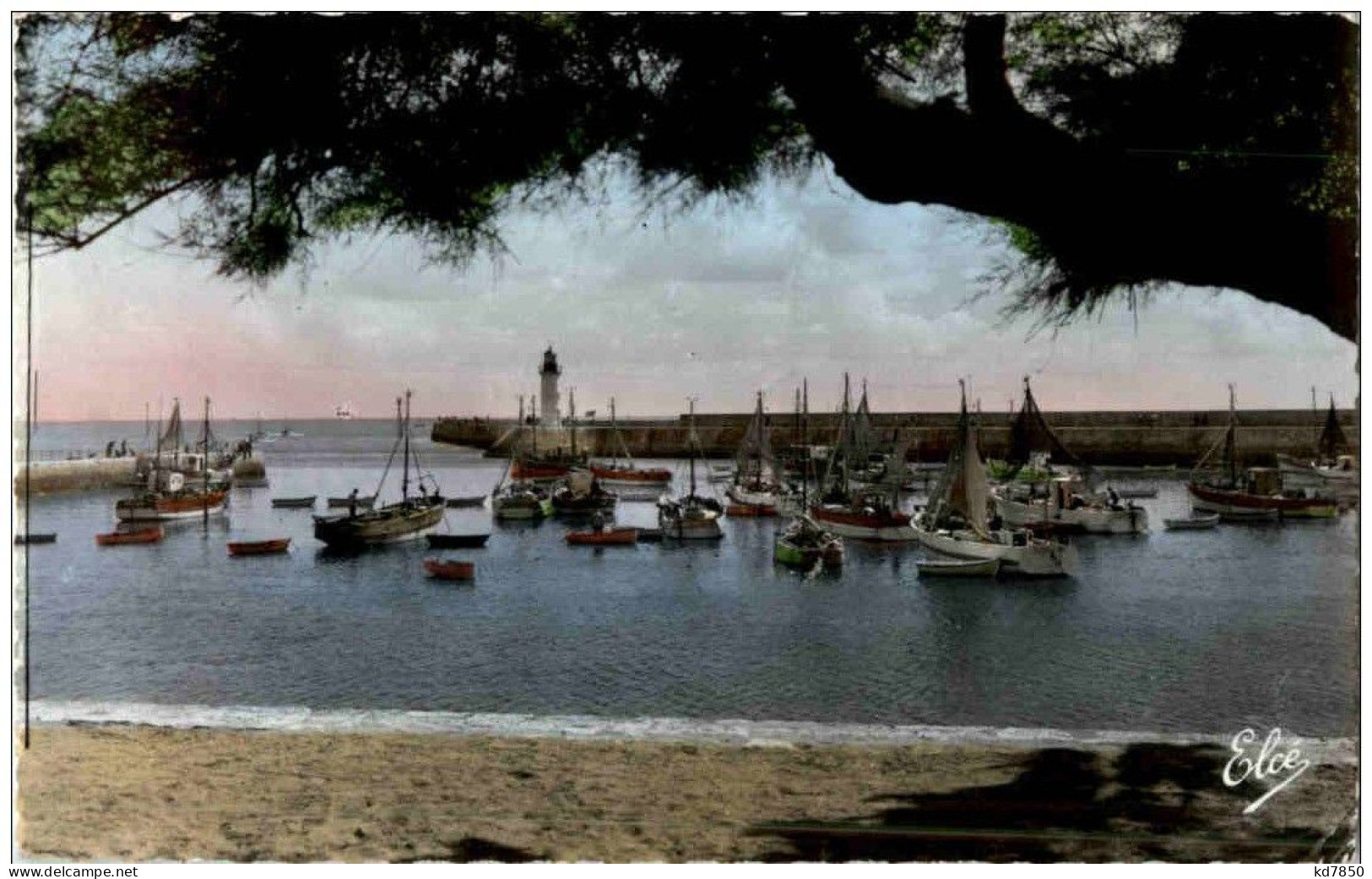 Ile D Oleron - La Continiere - Ile D'Oléron