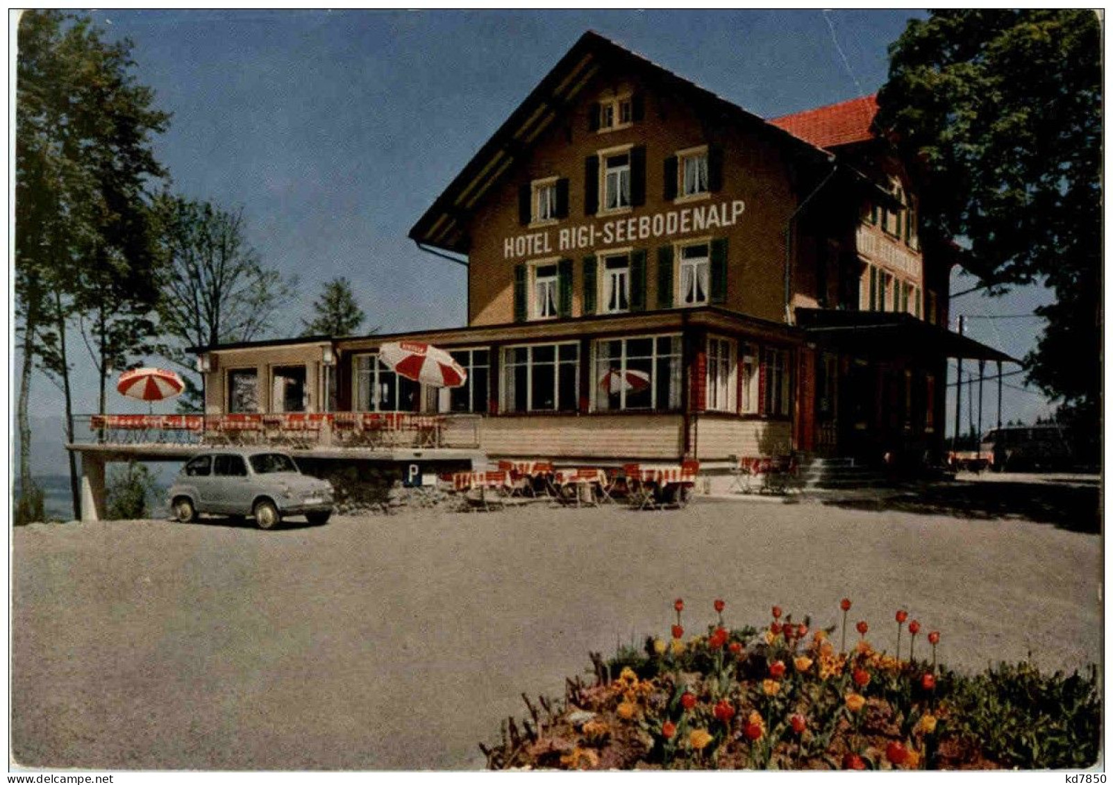 Hotel Rigi Seebodenalp Ob Küssnacht - Küssnacht