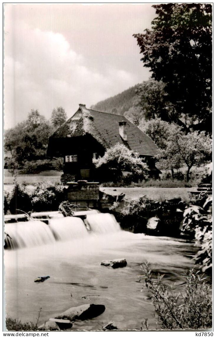 Schwarzwaldhaus In Gutach - Gutach (Breisgau)