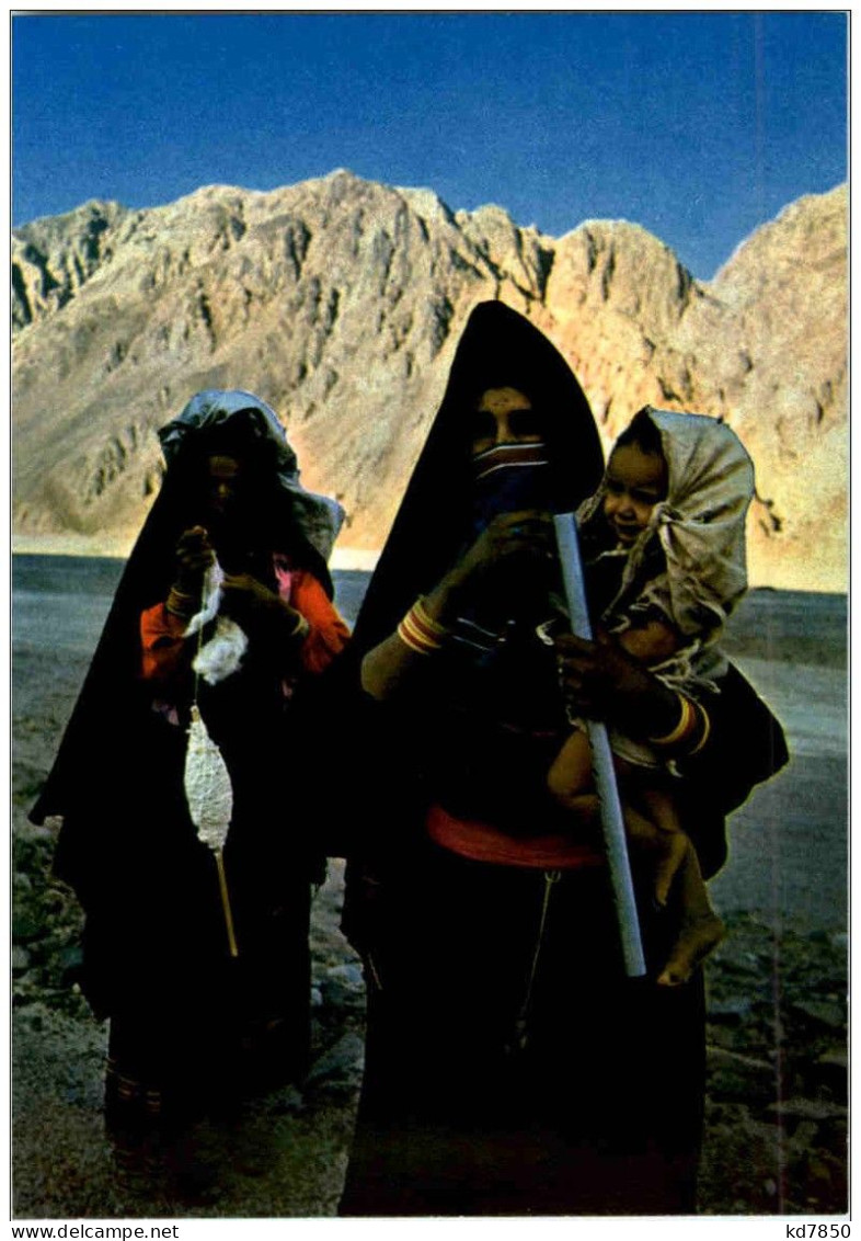 Bedouin Women In The Sinai Desert - Israel