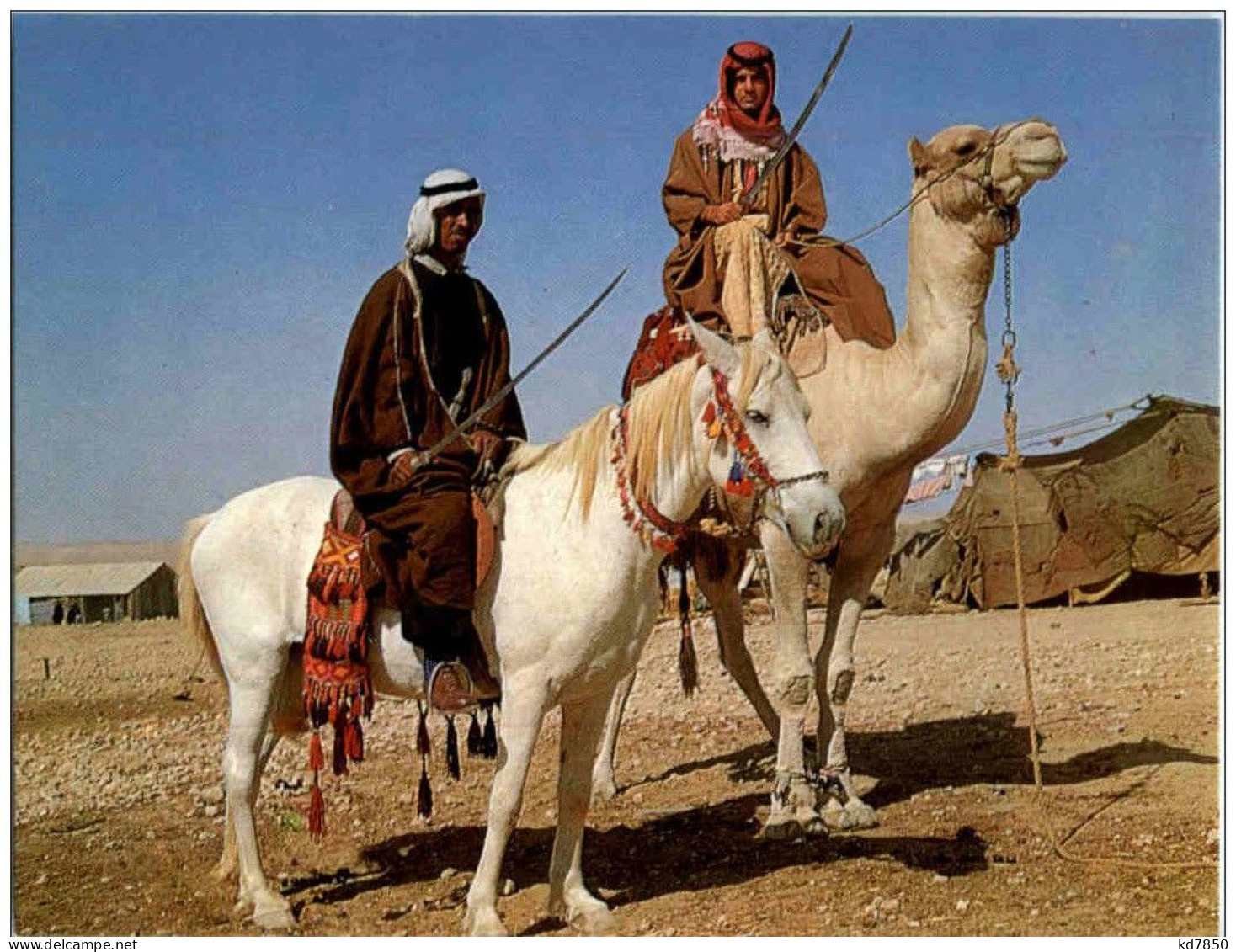 Beduin Horsemen Camel - Israel