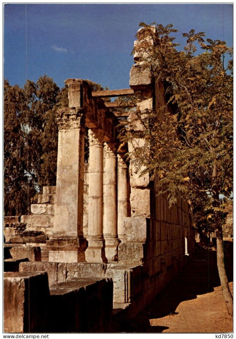 Reste Der Synagoge Von Kapernaum - Israel
