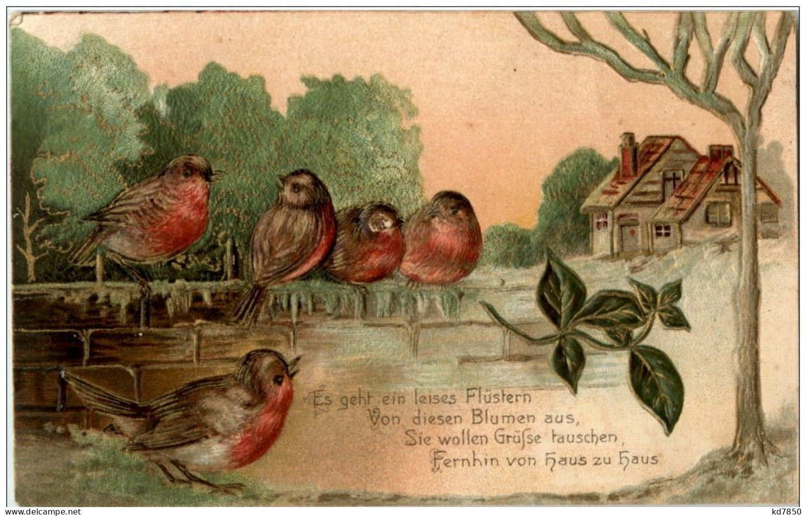 Vögel - Prägekarte - Pájaros