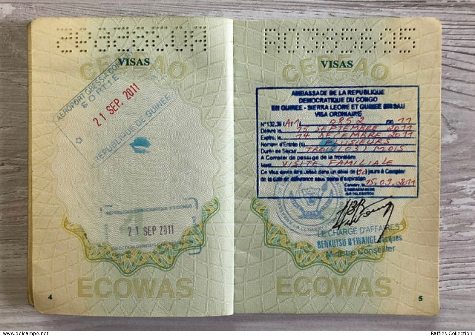 Guinea Passport Passeport Reisepass Pasaporte Passaporto - Historical Documents