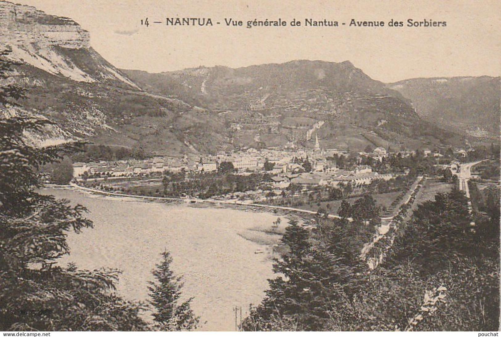 WA 6-(01) NANTUA - VUE GENERALE DE NANTUA - AVENUE DES SORBIERS  - 2 SCANS - Nantua