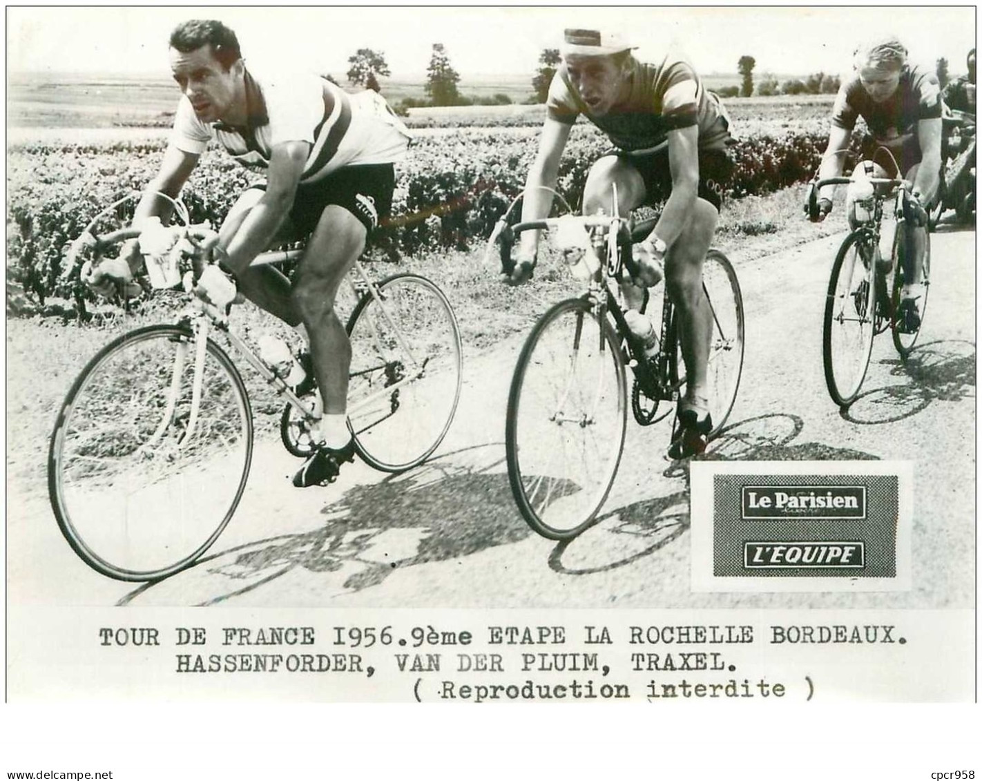 PHOTO DE PRESSE ORIGINALE TOUR DE FRANCE 1956.20X15.9eme ETAPE LA ROCHELLE BORDEAUX.HASSENFORDER,VAN DER PLUIM,.n°18670 - Cyclisme