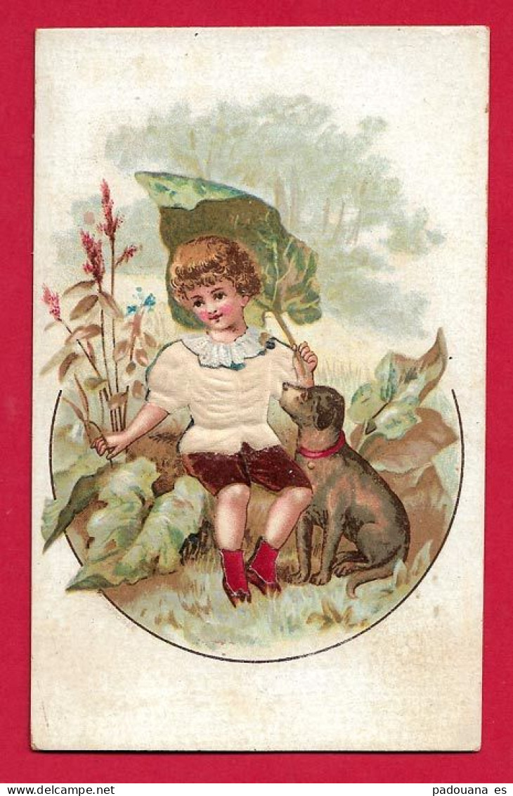 AF53 CHROMO GAUFRE SATIN SANS PUBLICITE JEUNE ENFANT ET SON CHIEN NATURE TAILLE 12.7X 8 CMS - Altri & Non Classificati