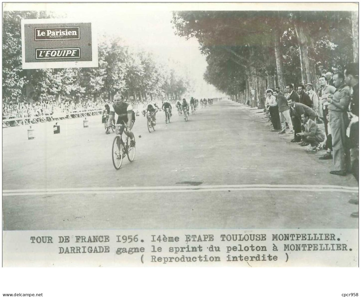 PHOTO DE PRESSE ORIGINALE TOUR DE FRANCE 1956.20X15.14eme ETAPE TOULOUSE MONTPELLIER.DARRIGADE GAGNE LE SPRINT.n°18679 - Ciclismo