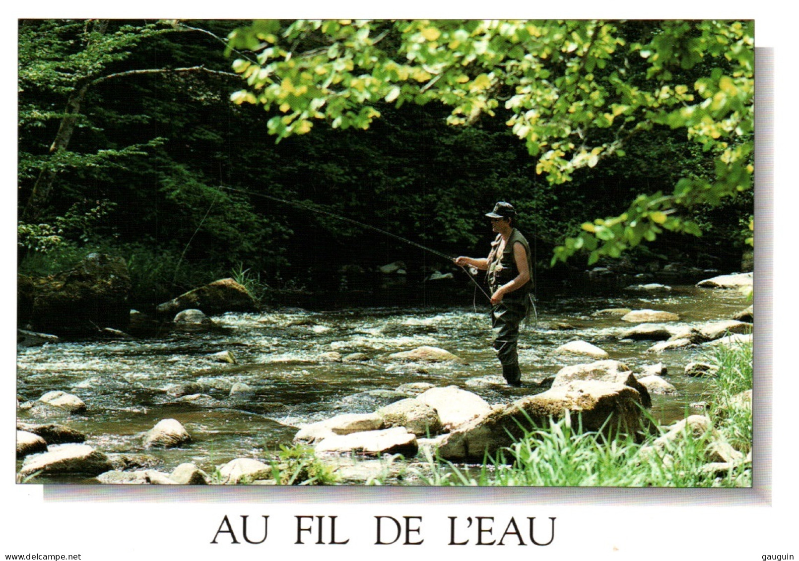 CPM - PÊCHE à La LIGNE - Au Fil De L'eau Photo M.Gauthier - Editions M.G - Pêche
