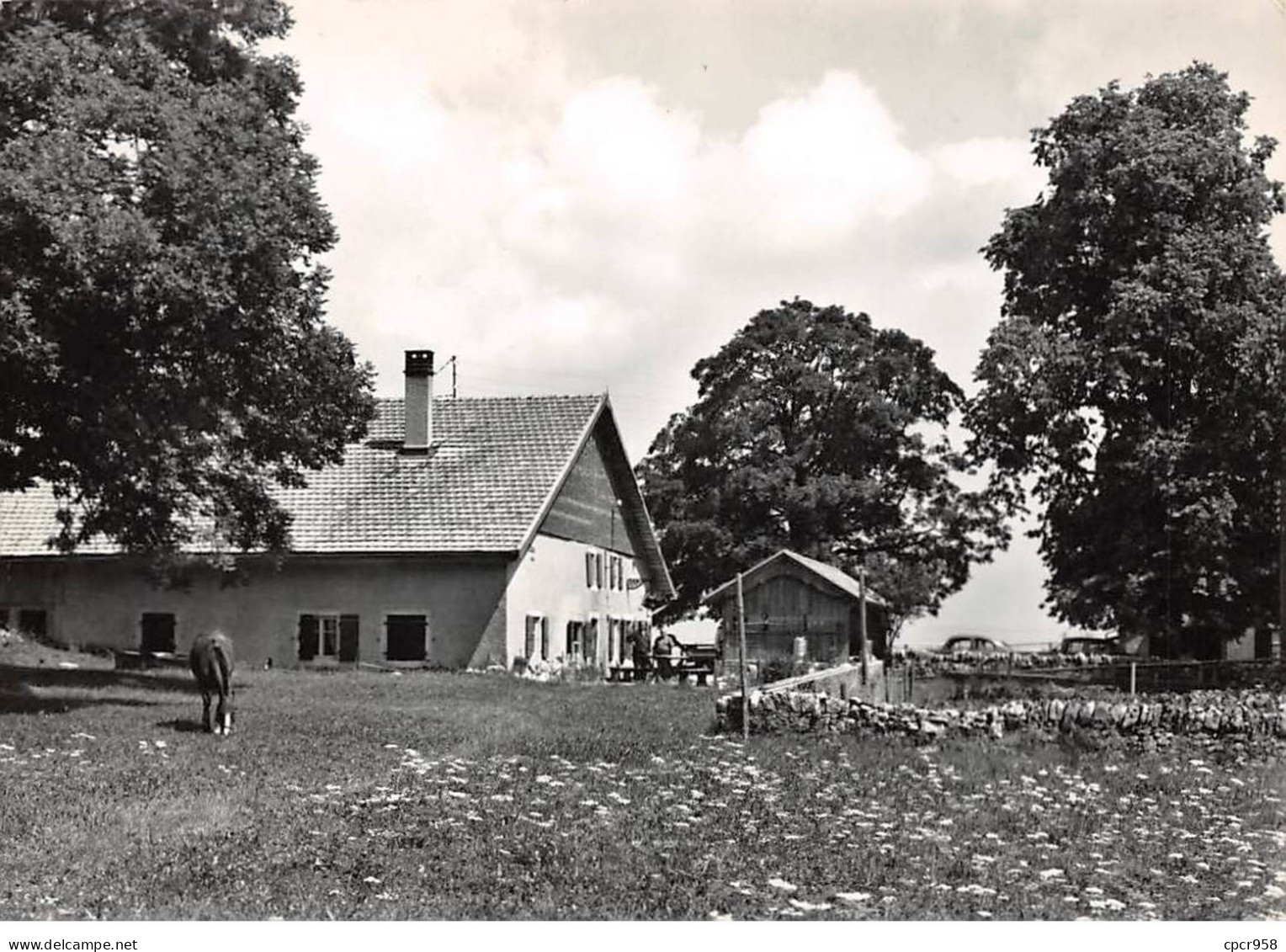 SUISSE - SAN40785 - COUVET NEUFCHATEL - Restaurant "Les Plânes" - 15x10 Cm - Couvet