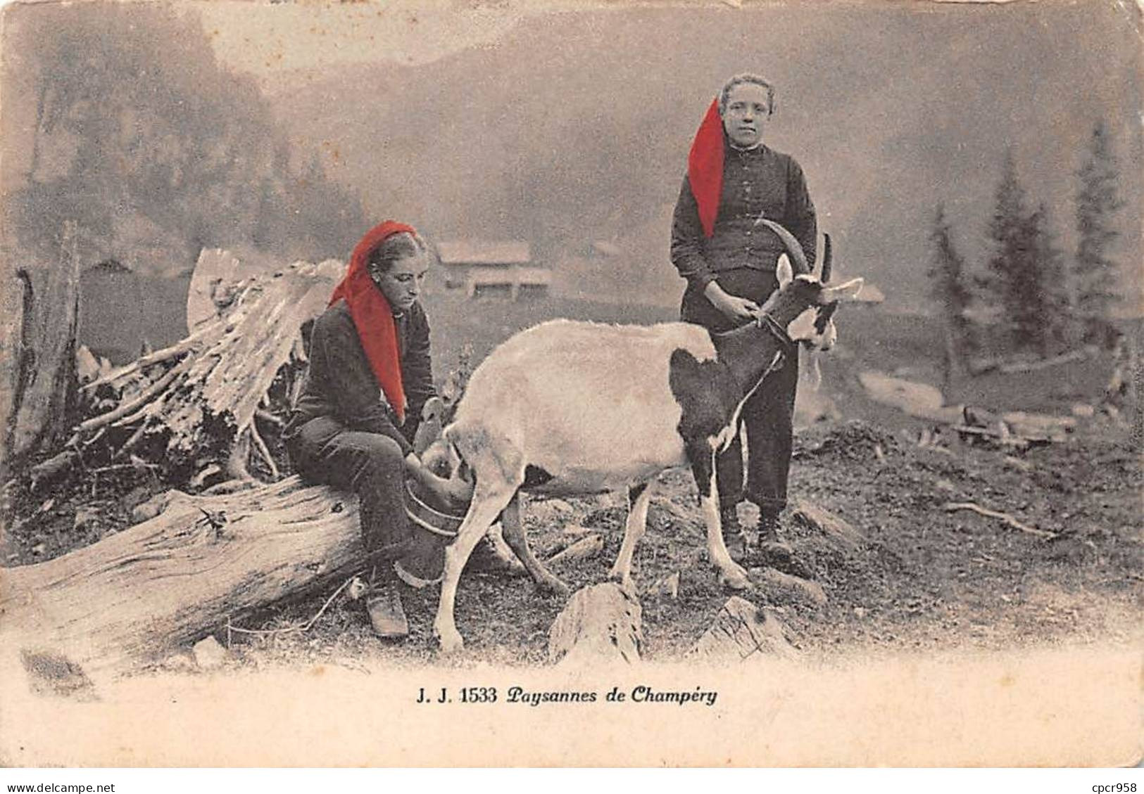 SUISSE - CHAMPERY - SAN26928 - Paysannes - Agriculture - Champéry