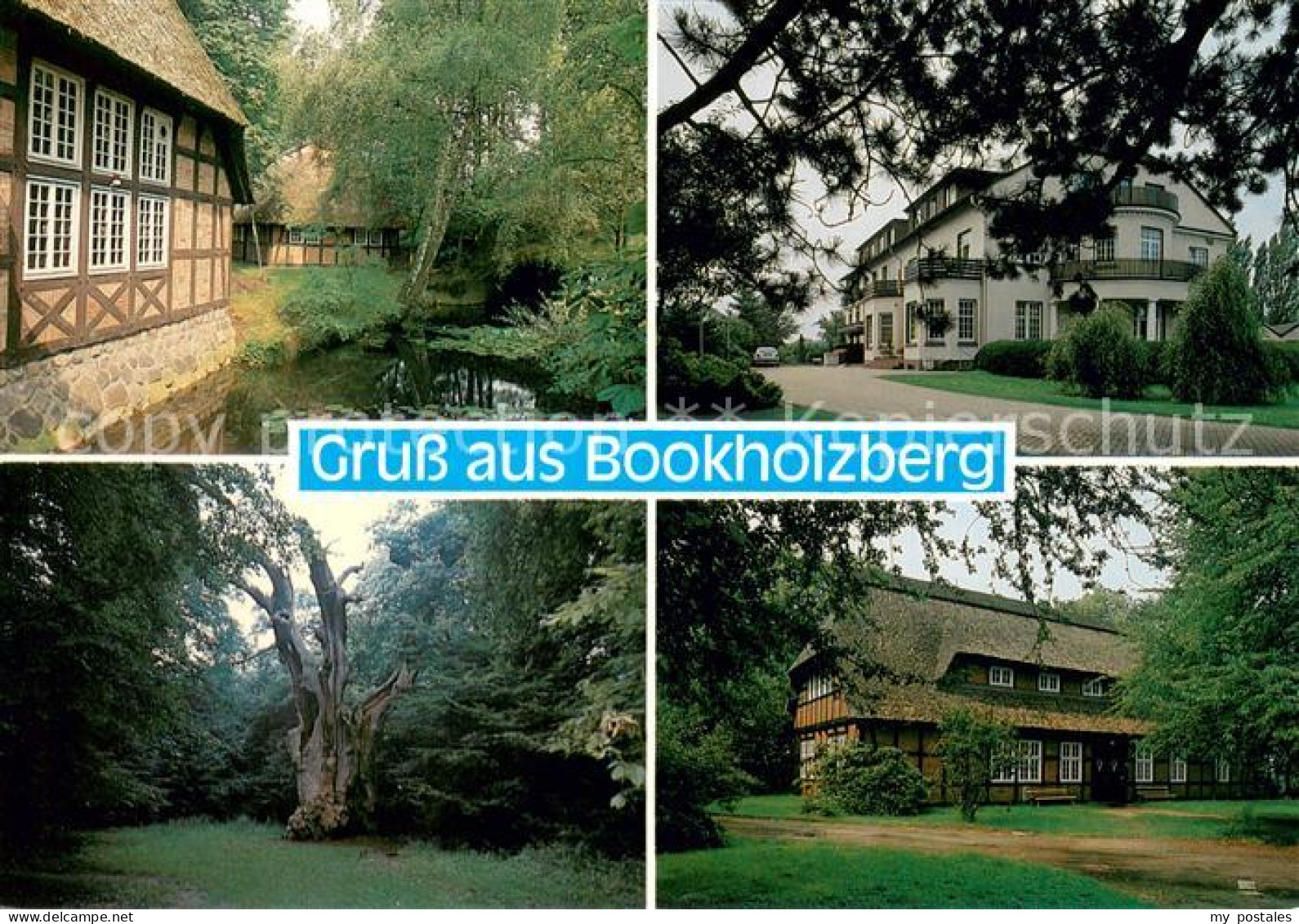 73673310 Bookholzberg Freizeitheim Hohenboeken Alte Anwesen Park Alter Baum Book - Ganderkesee