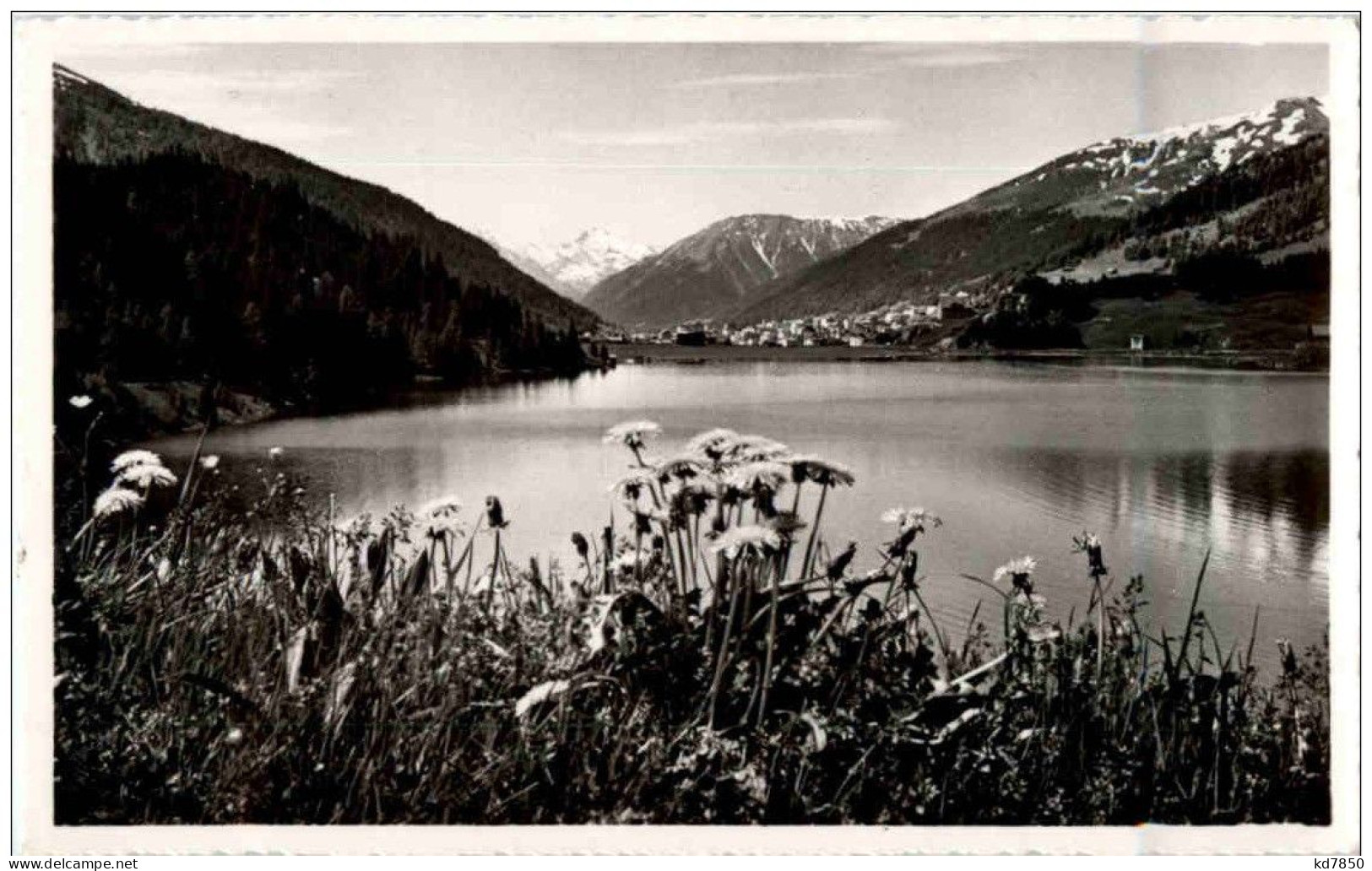 Sommertag Am Davosersee - Davos