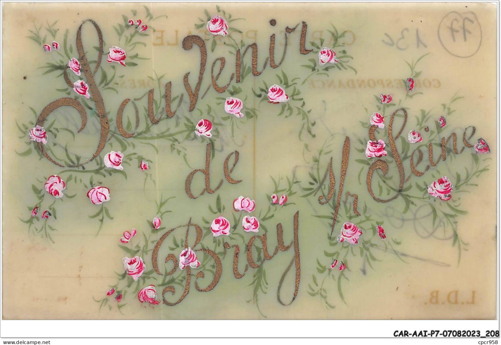 CAR-AAIP7-77-0661 - Souvenir De BRAY SUR SEINE - Carte Celluloid - Bray Sur Seine