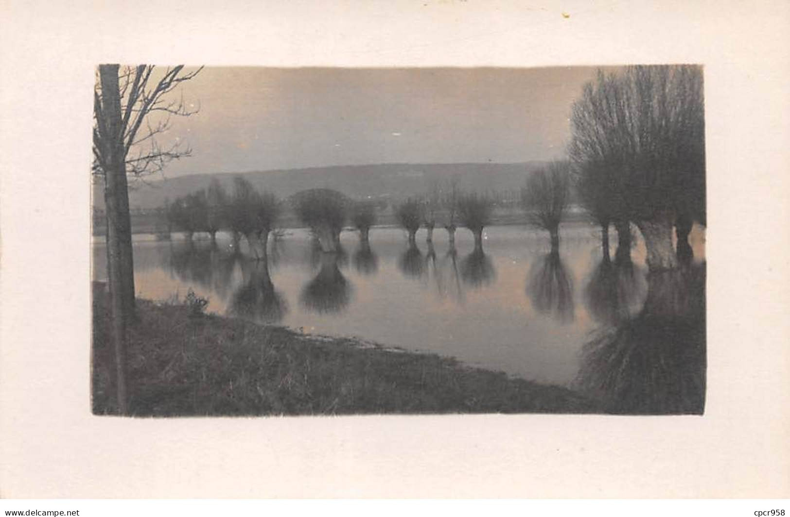 A Identifier - N°91512 - Arbres Les Troncs Dans L'eau, Un Jour D'inondation - Carte Photo - To Identify