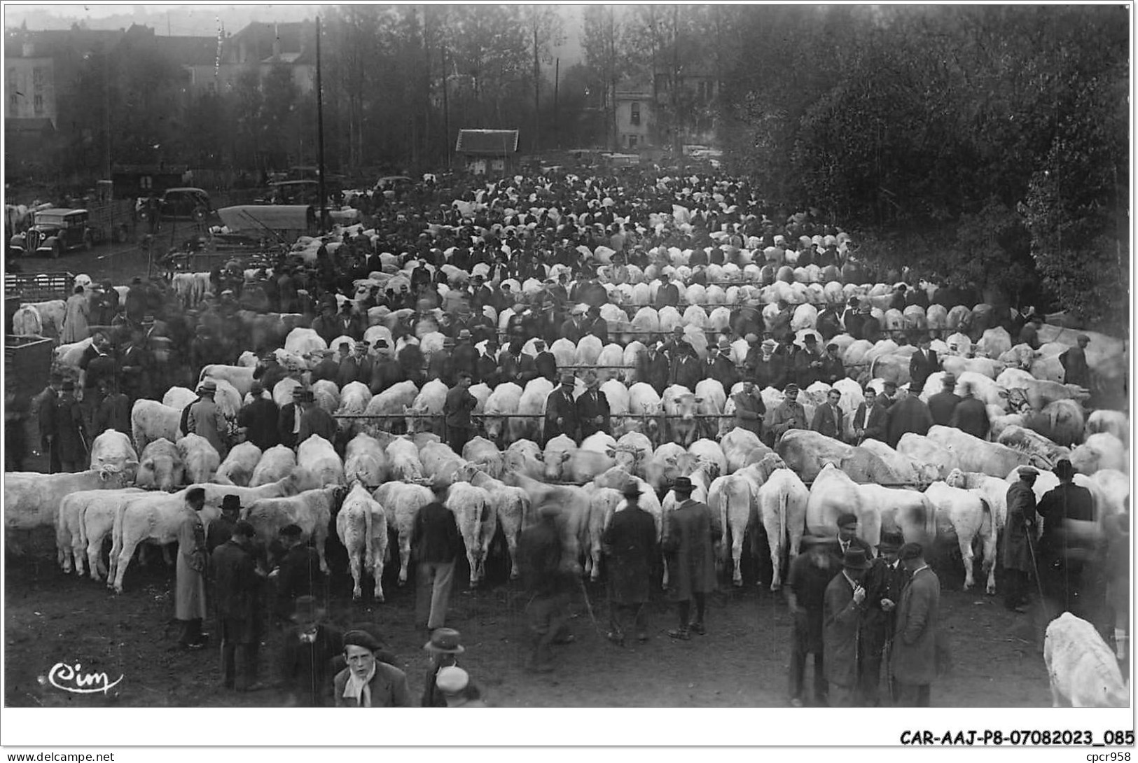 CAR-AAJP8-71-0717 - CHAROLLES - La Foire Aux Veaux - Centre D'élévage, Berceau De La Célèbre Race Bovine Charollaise - Charolles