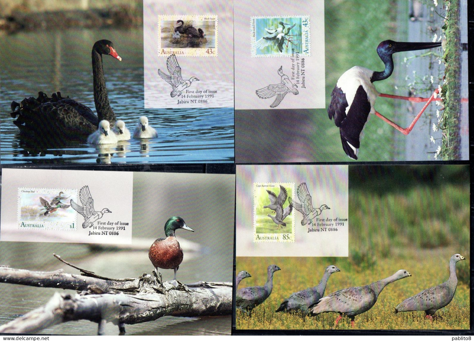 AUSTRALIA 1991 WATER BIRDS FAUNA COMPLETE SET SERIE COMPLETA MAXI CARD MAXIMUM - Cartoline Maximum