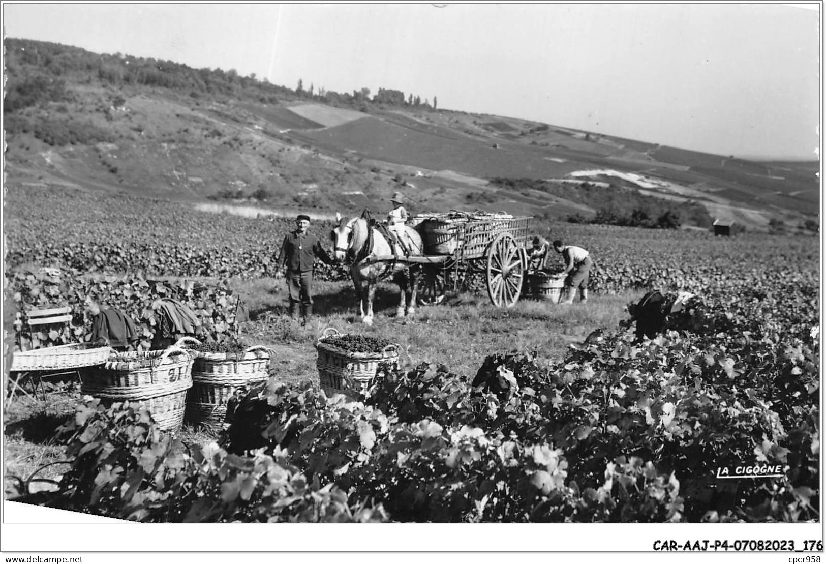 CAR-AAJP4-51-0368 - AY - Scènes De Vendanges - Ay En Champagne