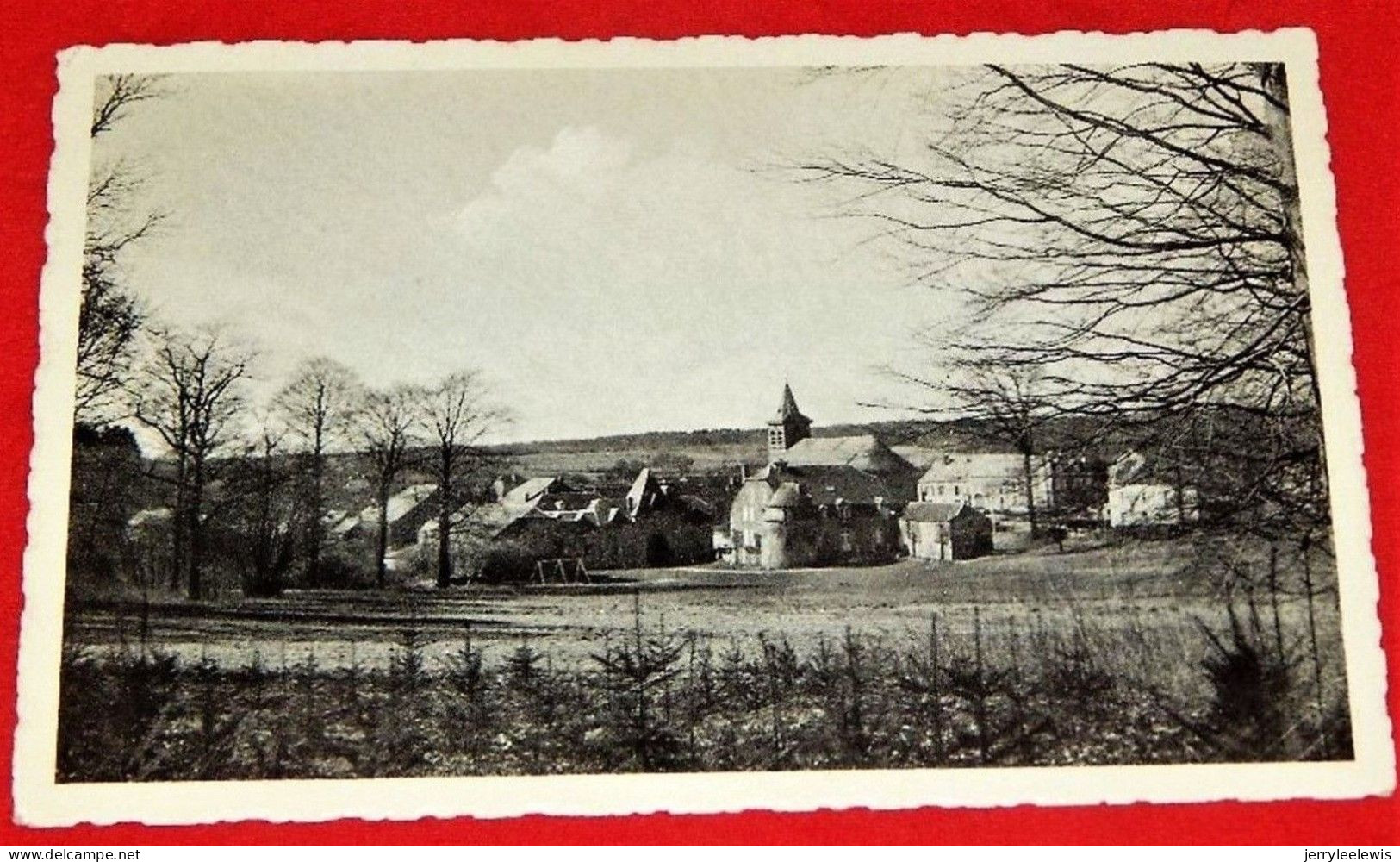 ROSSIGNOL  -  Vue Générale Du Château , Du Parc Et De L' Eglise  - - Tintigny