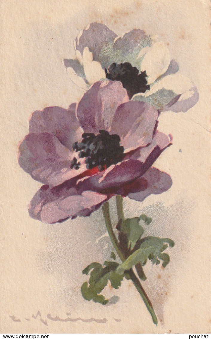 WA 17- CARTE FANTAISIE - FLEURS : ANEMONES , ILLUSTRATEUR KLEIN   - 2 SCANS - Klein, Catharina