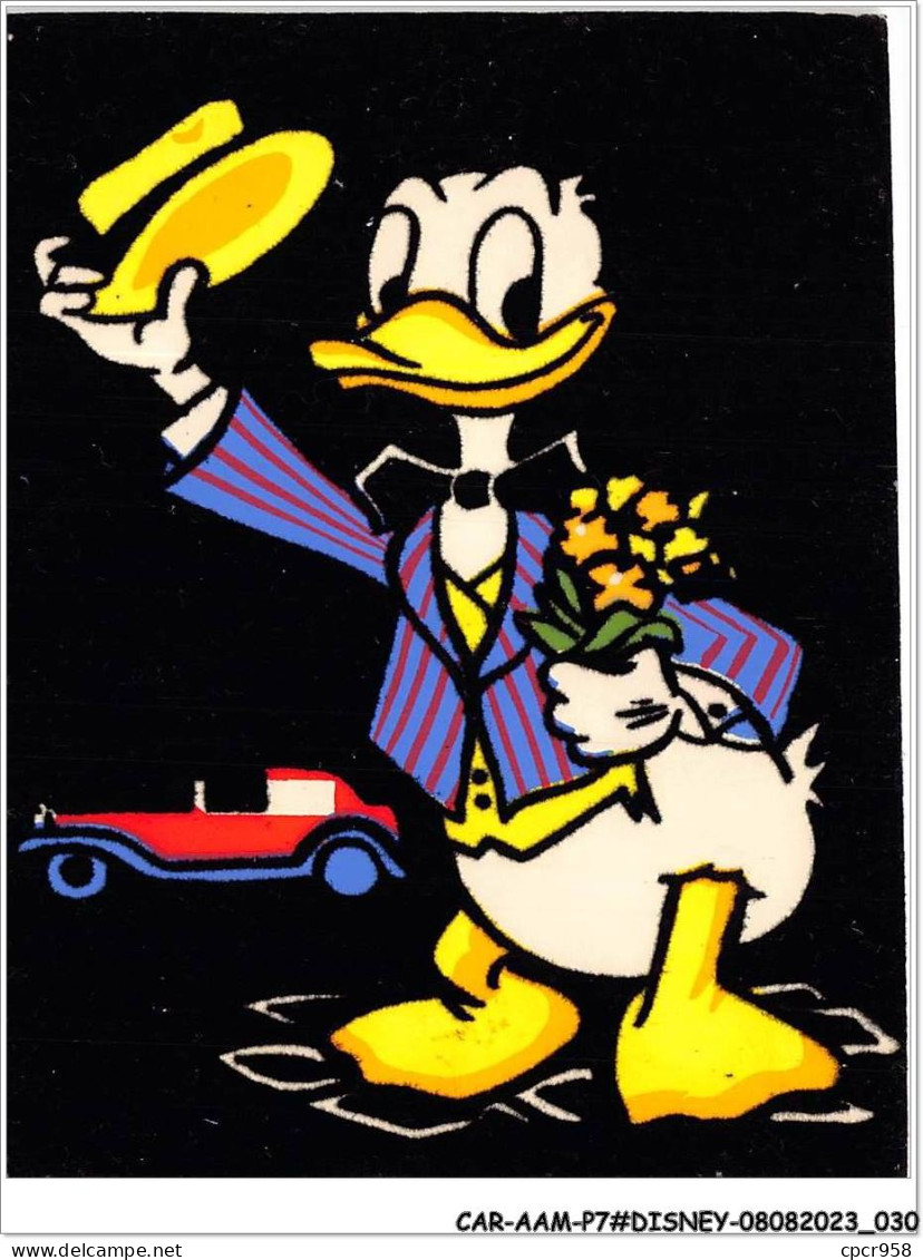 CAR-AAMP7-DISNEY-0626 - Donald En Costume - Disneyland