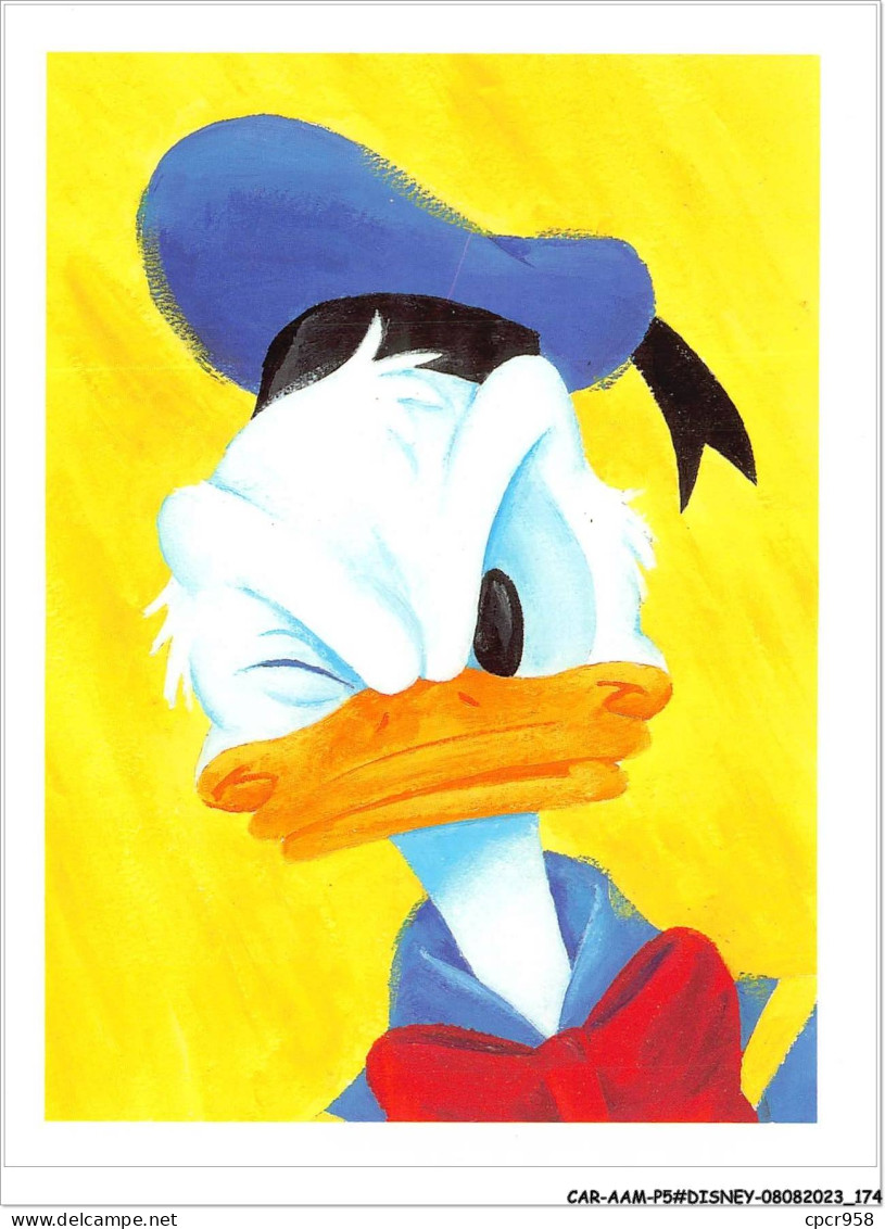 CAR-AAMP5-DISNEY-0495 - Painted Donald Illustration Bye Kim Raymond Frsa - Disneyland