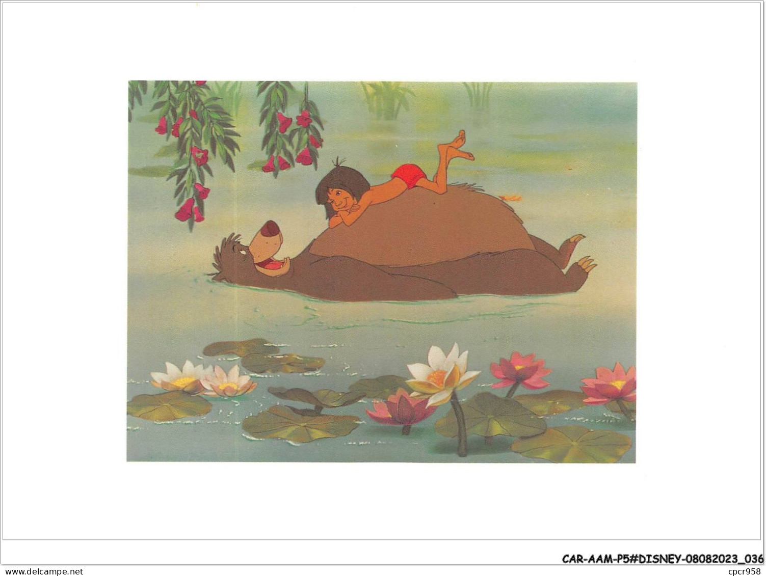 CAR-AAMP5-DISNEY-0426 - Le Livre De La Jungle - Baloo And Mowgli Had A Lazy Time - Disneyland